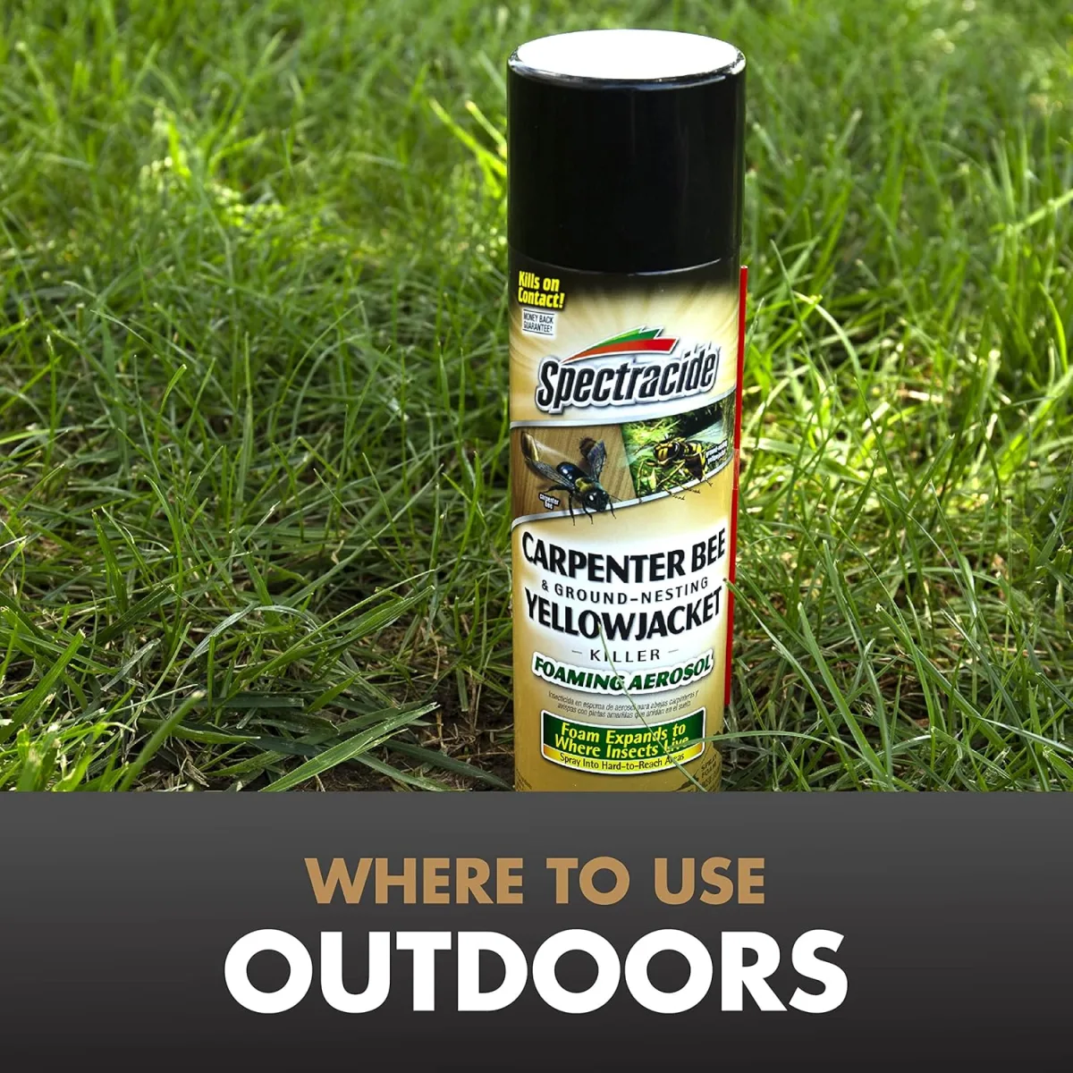 Spectracide Foaming Killer: Carpenter Bee & Yellowjacket Review