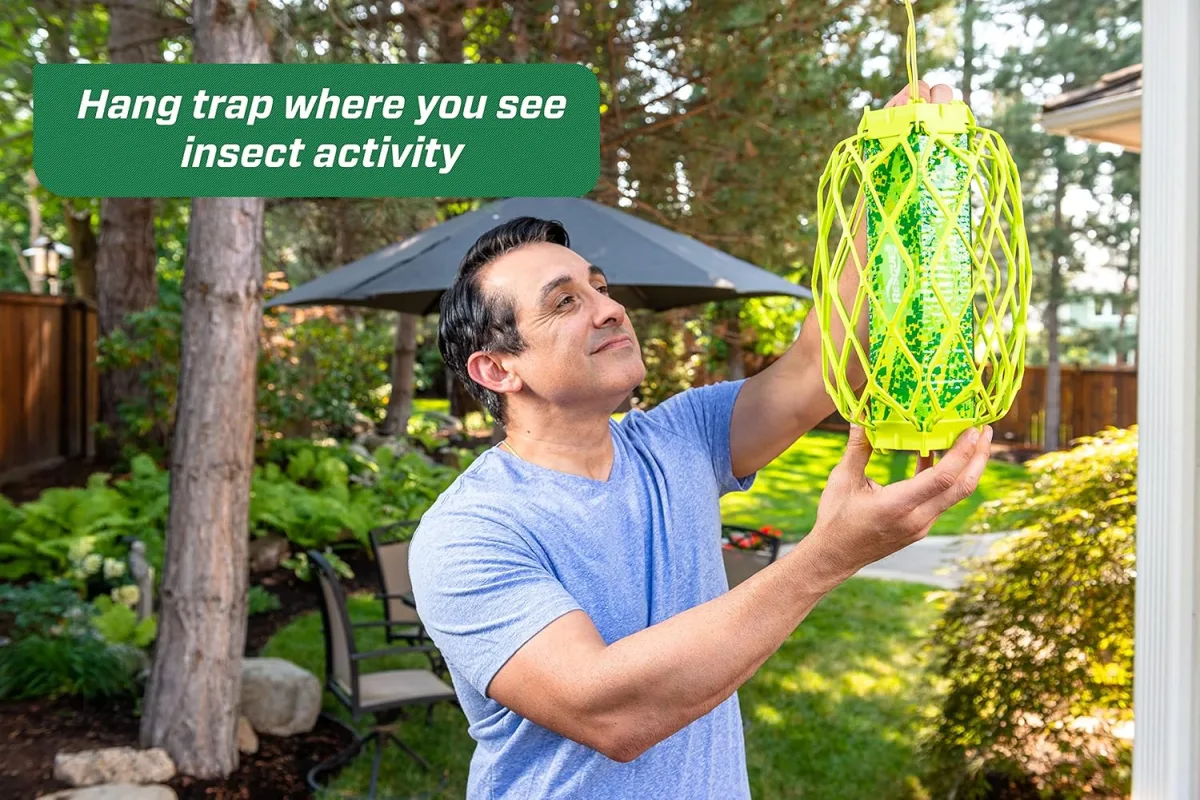 RESCUE! TrapStik Review: Sticky Truth About Wasp & Bee Traps