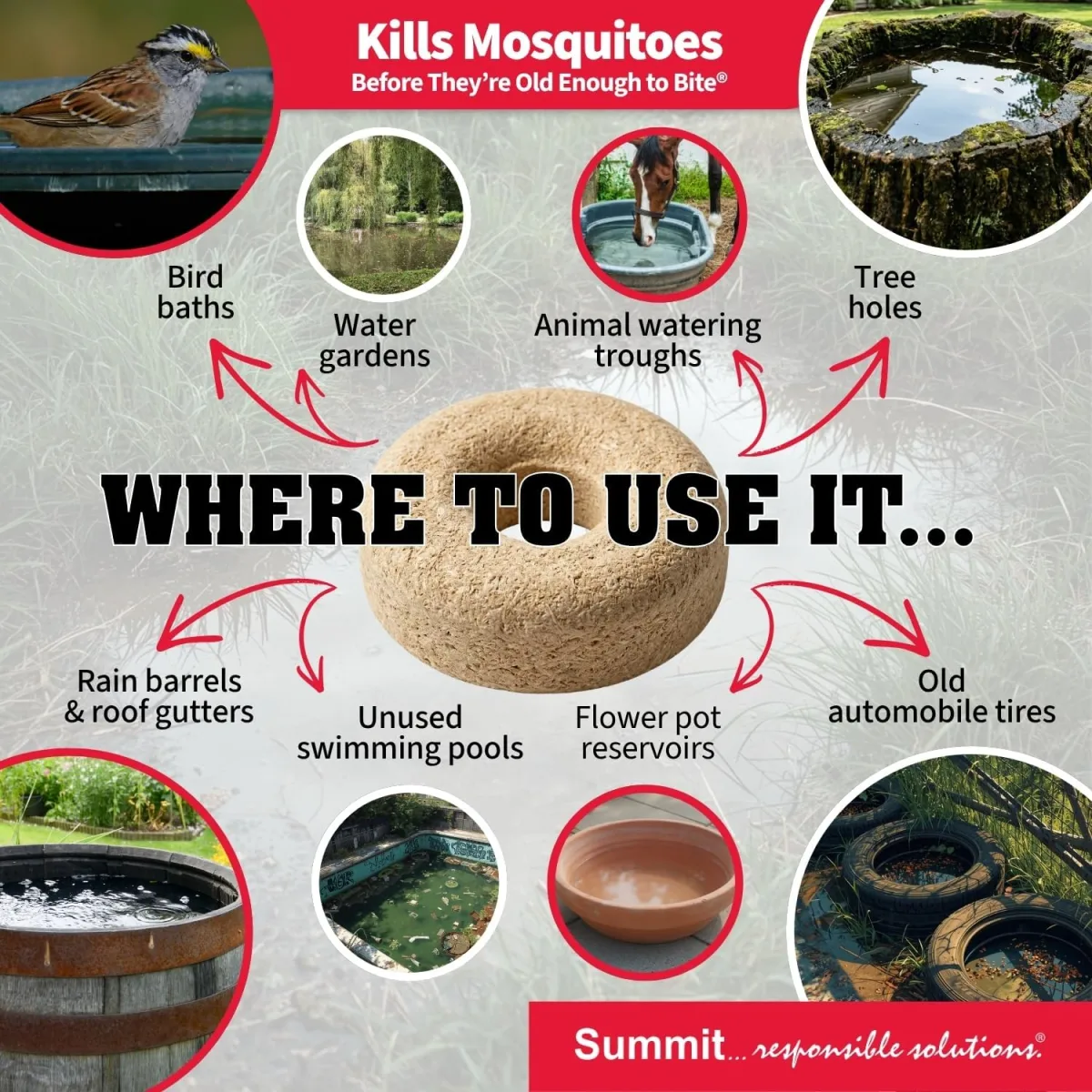 Mosquito Dunks 2-Pack Review: Real Pond Mosquito Control?