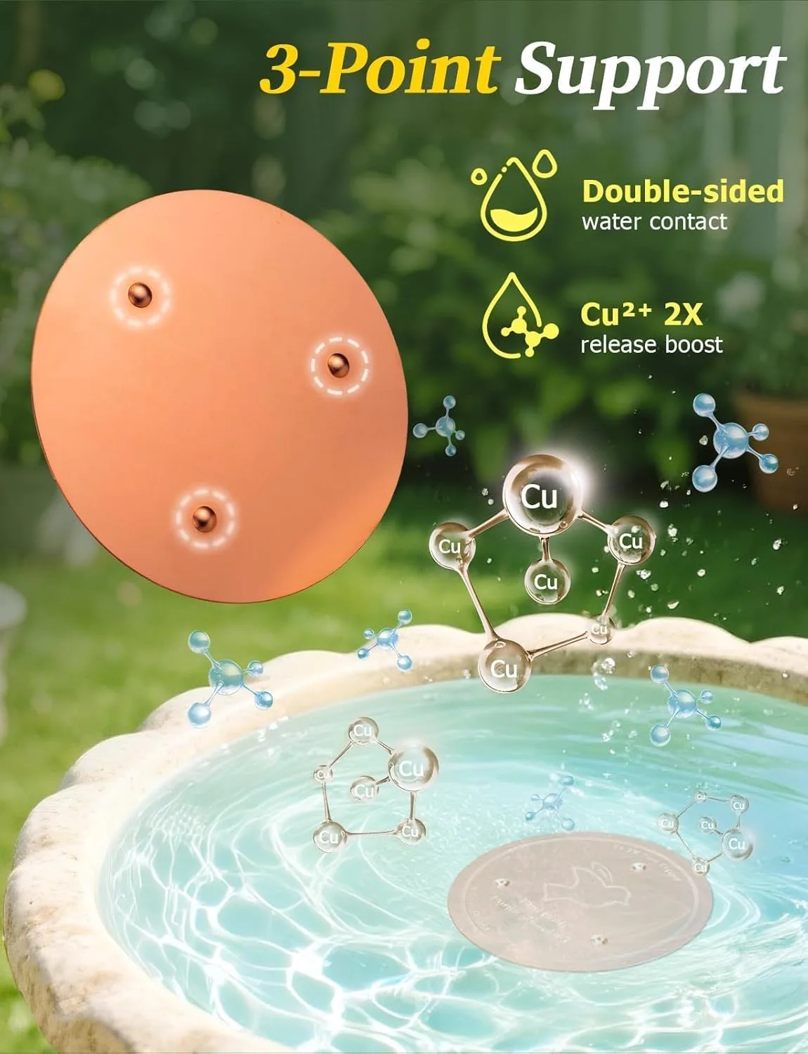 Copper Bird Bath Disk: My 3-Week Test – Does It Really Work?