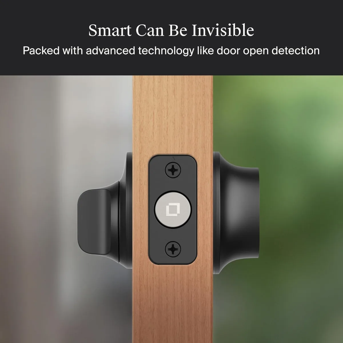 Level Lock Pro Matter: Smart, Stealthy, But Not for Everyone